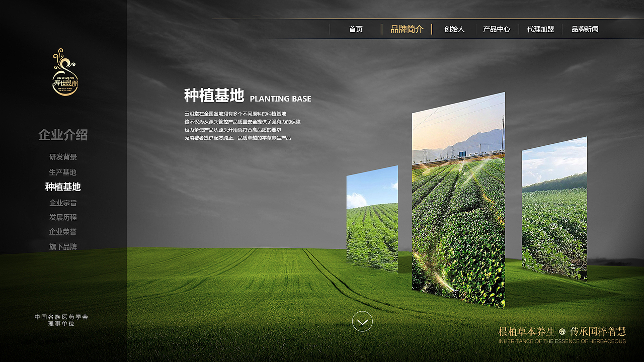 壽世良朋官網(wǎng)（圖ZMjU0NjEzNTky） - 企業(yè)官網(wǎng) - 站酷設(shè)計(jì)師Tony黃藝強(qiáng)原創(chuàng)素材 - 站酷ZCOOL