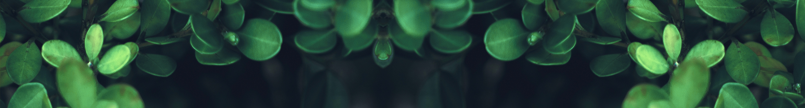 木木家CC的个人主页（封面预览） - 主页封面设置 - 站酷设计师木木家CC原创素材 - 站酷ZCOOL