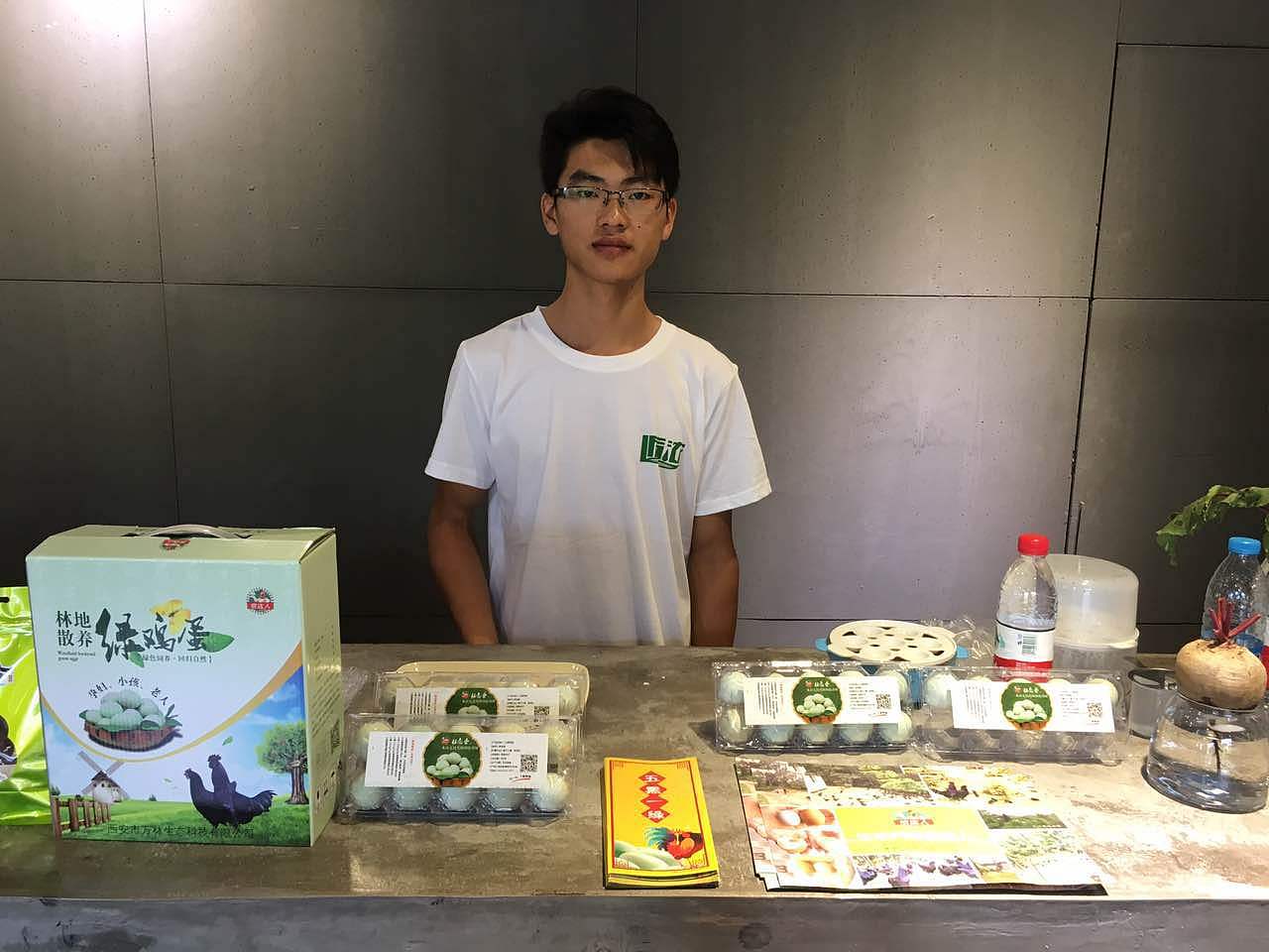 绿壳鸡蛋盒不干胶/纸盒/单页/代金卷等设计