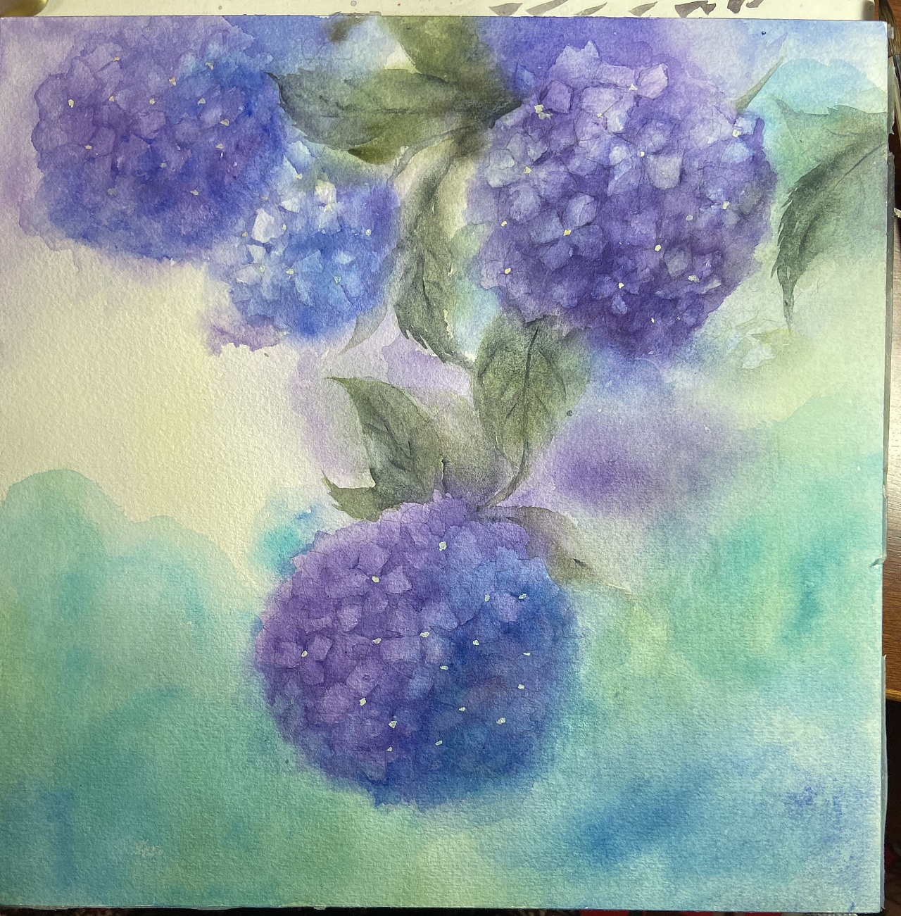 绣球花全过程 原创作品 站酷 Zcool 绣球花全过程 原创作品 站酷 Zcool