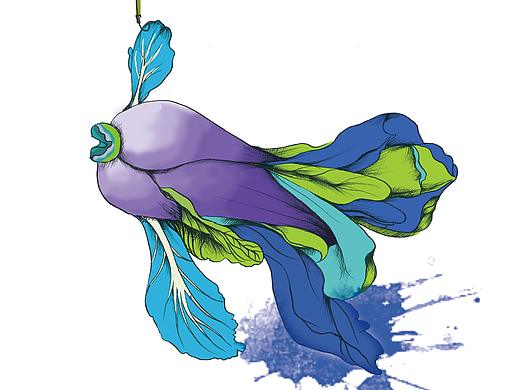 白菜（二十二）（个人主页-ZMjQxMjU0MzI=） - 商业插画 - 站酷设计师石头小小原创素材 - 站酷ZCOOL