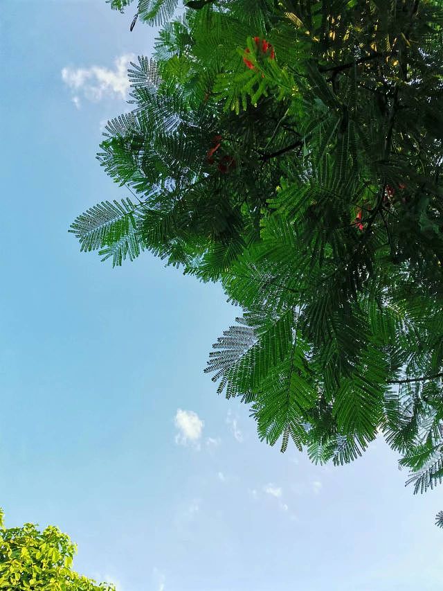 进来瞧瞧,春天美成什么样!!