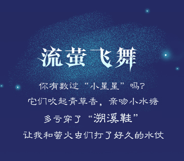 森林奇幻夜（图ZNjcyMTA1MjQ=） - 电商 - 站酷设计师简小简原创素材 - 站酷ZCOOL