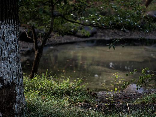 無(wú)錫一角（個(gè)人主頁(yè)-ZNTU2OTE4MzI=） - 風(fēng)光攝影 - 站酷設(shè)計(jì)師柚子潔原創(chuàng)素材 - 站酷ZCOOL