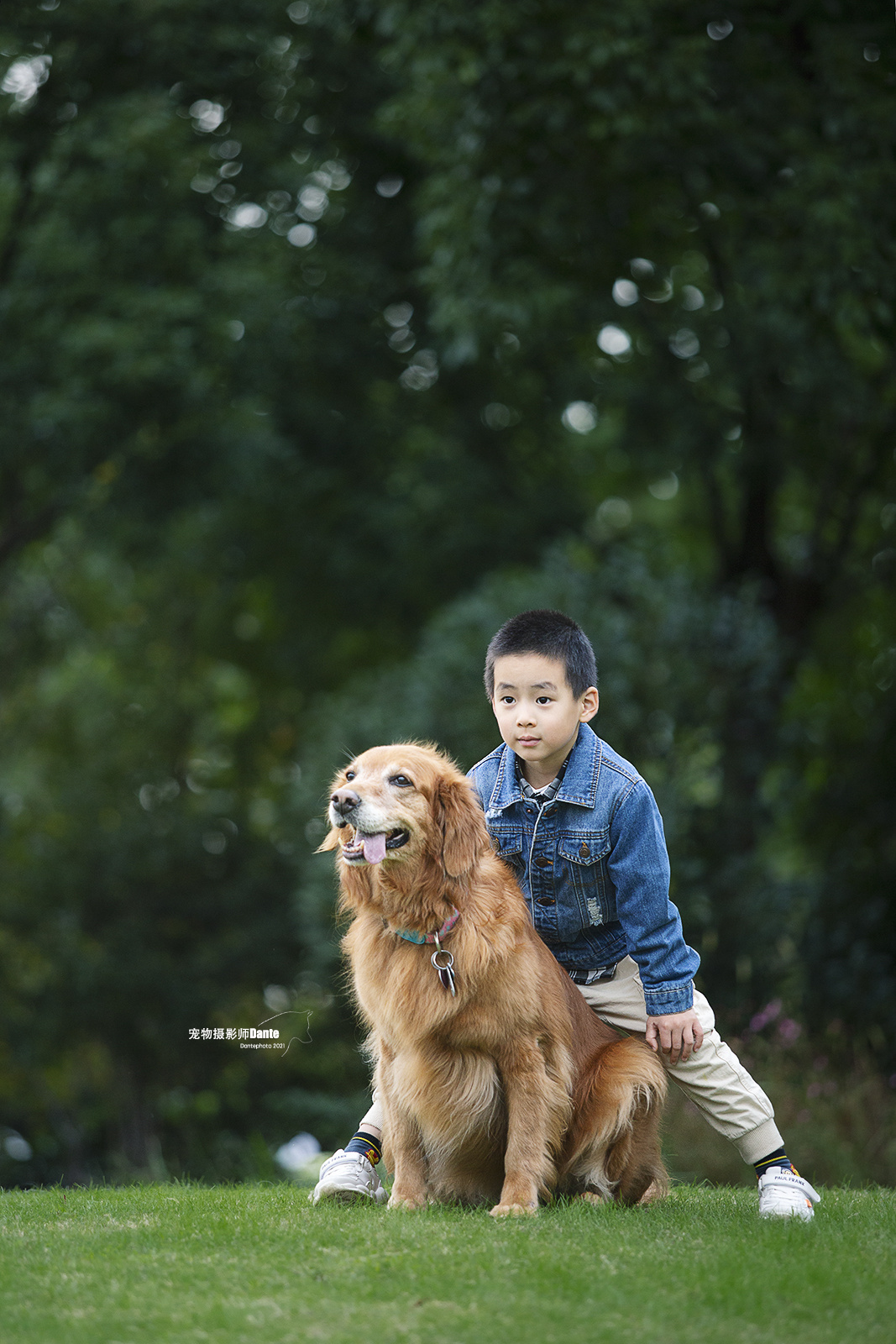 儿童与金毛|摄影|宠物摄影|dantephoto - 原创作品 - 站酷 (ZCOOL)