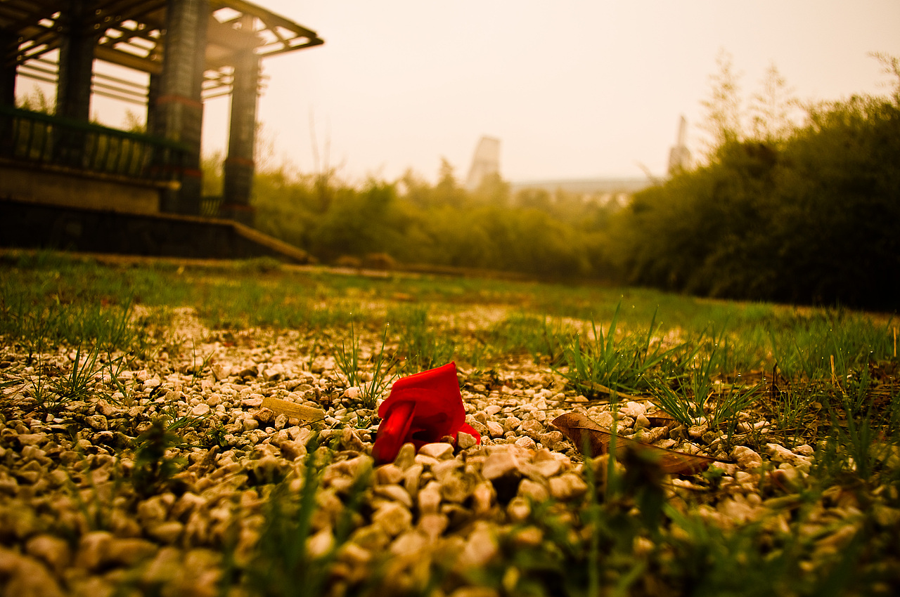 遗失在校园里的爱情（图ZMjU5NTczNg==） - 风光摄影 - 站酷设计师穆青雨原创素材 - 站酷ZCOOL
