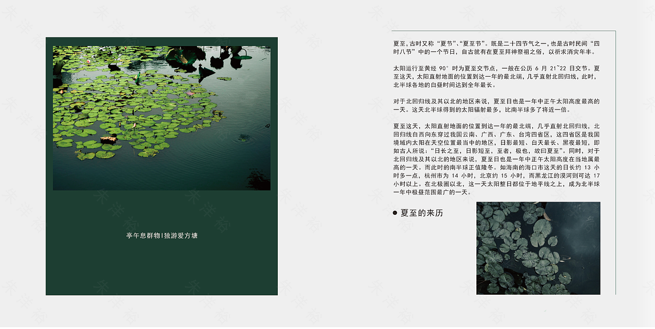 《夏至》型录册子（图ZMjEzMTg5MzIw） - 书籍/画册 - 站酷设计师涣成野原创素材 - 站酷ZCOOL