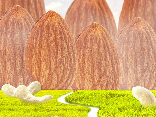 坚果(混合)详情页