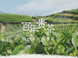 小程序-遵义馆百年贵茶