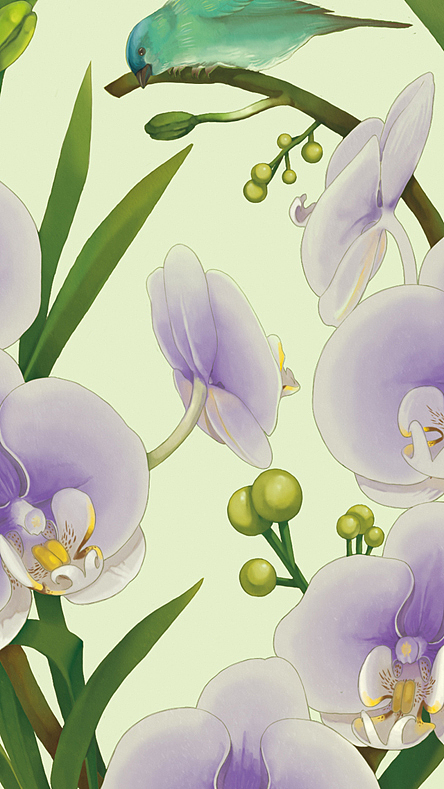 花鸟系列（图ZMjQ1NzQ5MDA=） - 商业插画 - 站酷设计师蔡一昕原创素材 - 站酷ZCOOL