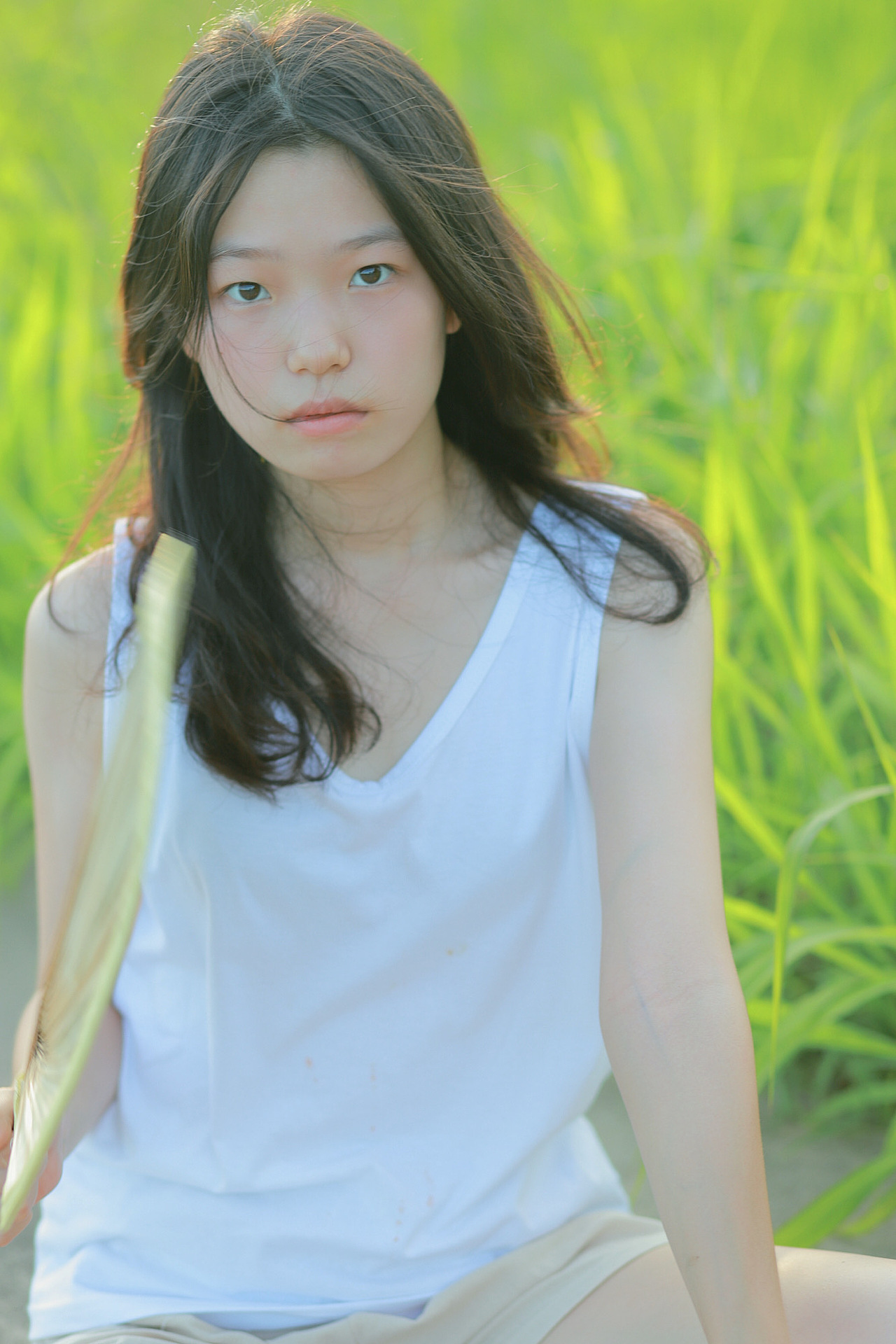 《小森林》——夏日篇