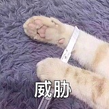 Znny的头像