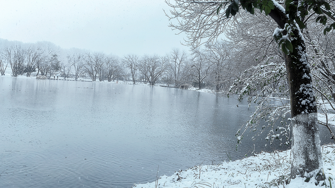 杭州雪景小集