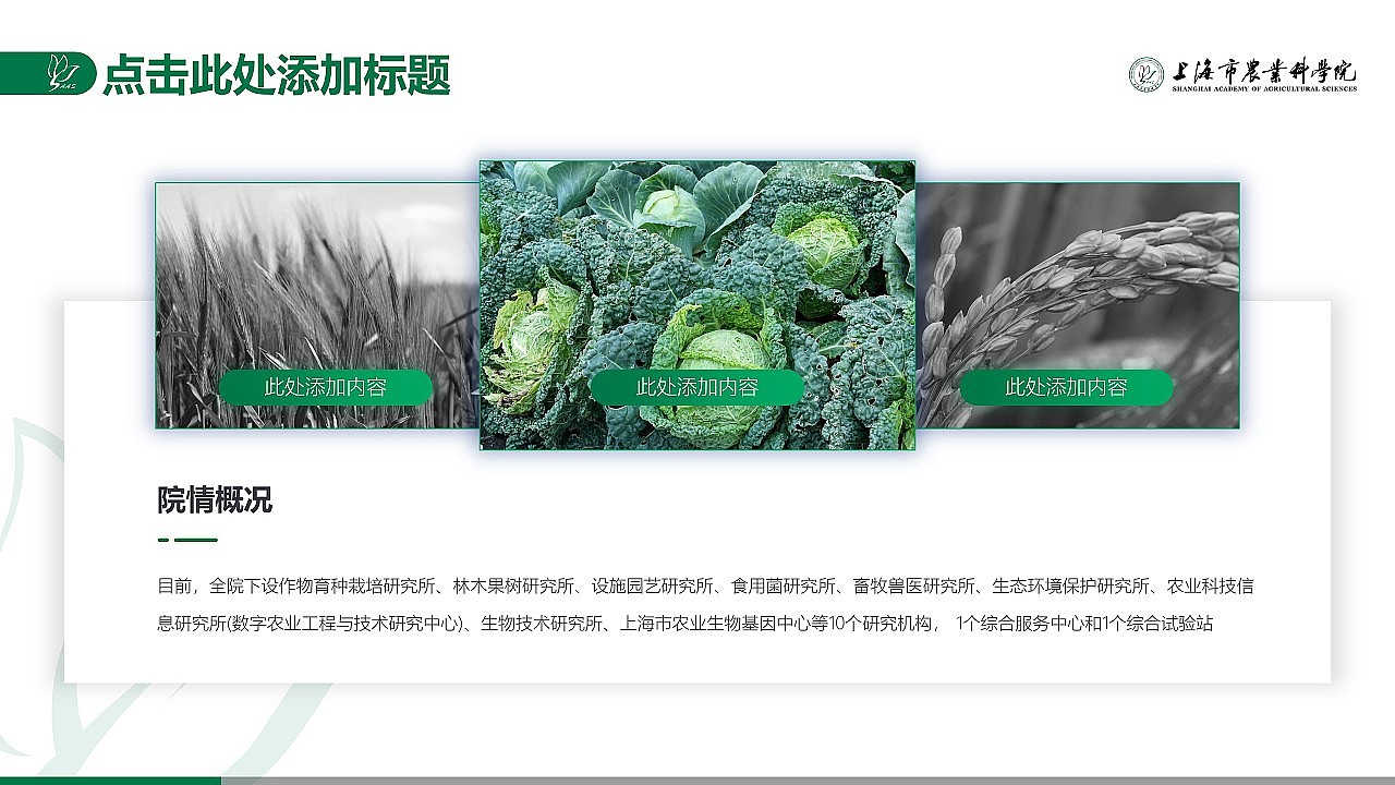 案例定制：上海农科院（图ZMTc1ODA5NTIw） - PPT/Keynote - 站酷设计师锐普PPT演示原创素材 - 站酷ZCOOL