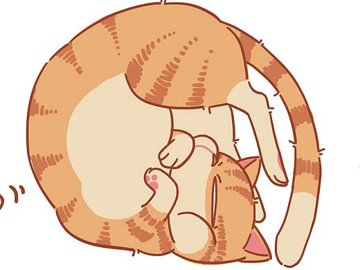 乱躺猫