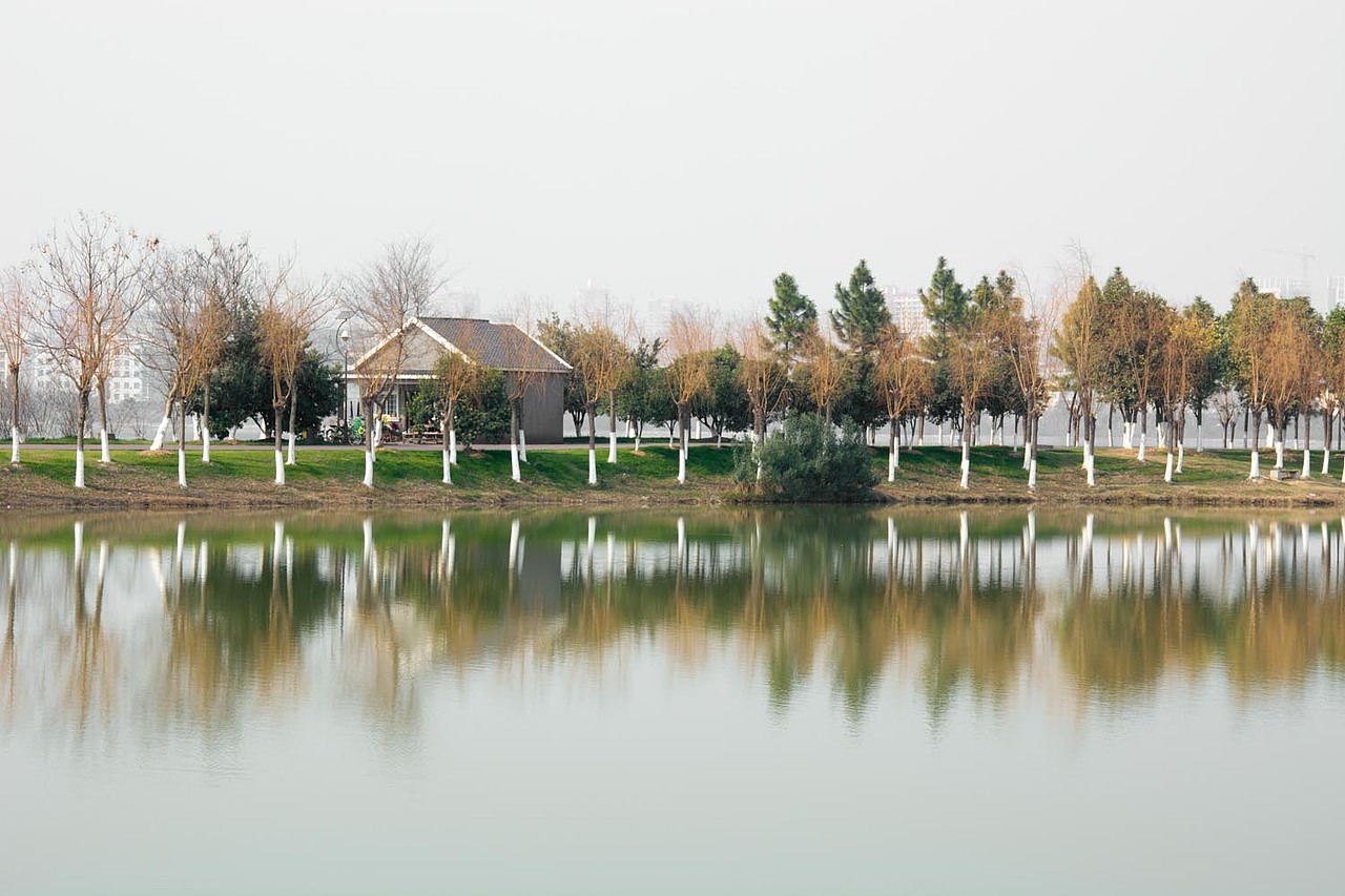 几年没去南昌,突然去南昌发现变化真快,这是南昌艾溪湖拍的一些照片,景色真不错