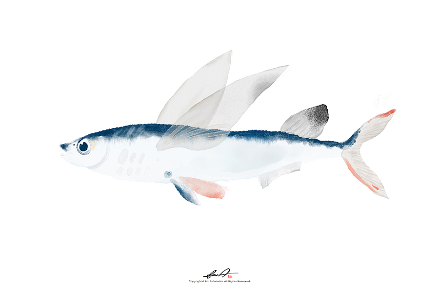 《真·摸鱼》（图ZMTY0OTg0ODIw） - 创作习作 - 站酷设计师瓜里瓜里瓜里原创素材 - 站酷ZCOOL