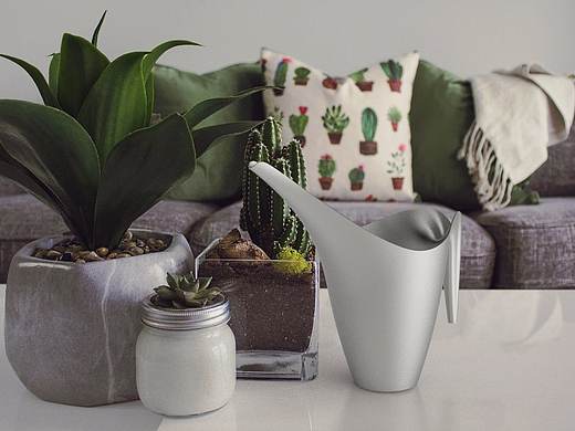 小水壶（个人主页-ZNDMxMjU5MTI=） - 生活用品 - 站酷设计师白白鸭原创素材 - 站酷ZCOOL