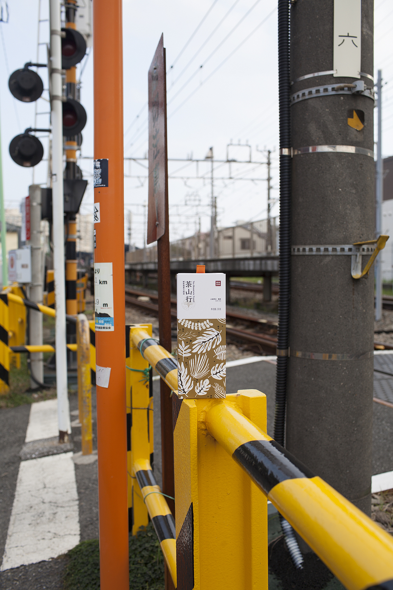 容品牌:雨林古茶坊 - 天猫店产品策划&茶包装设计