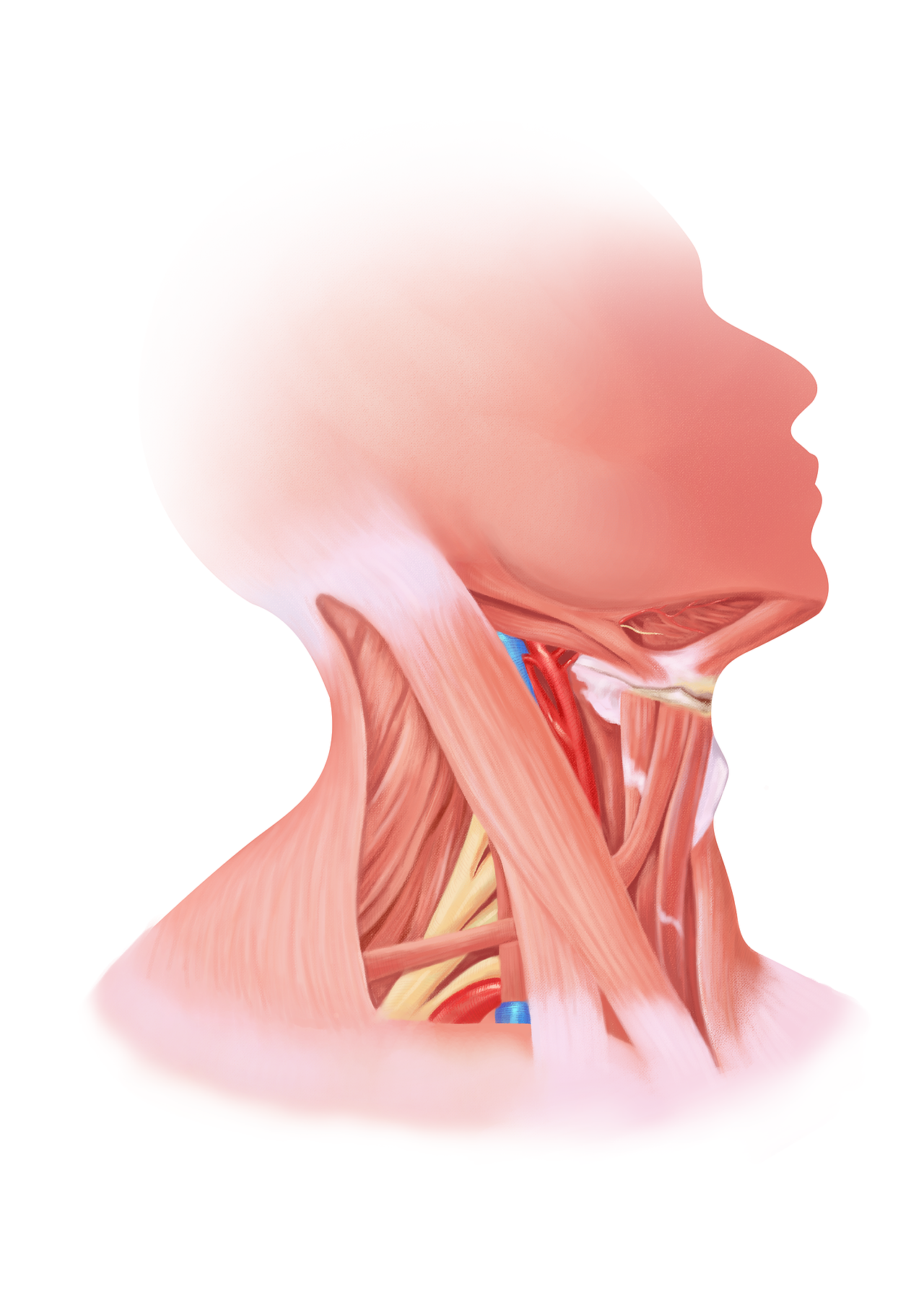 北京/插画师/3年前/138浏览z39597665