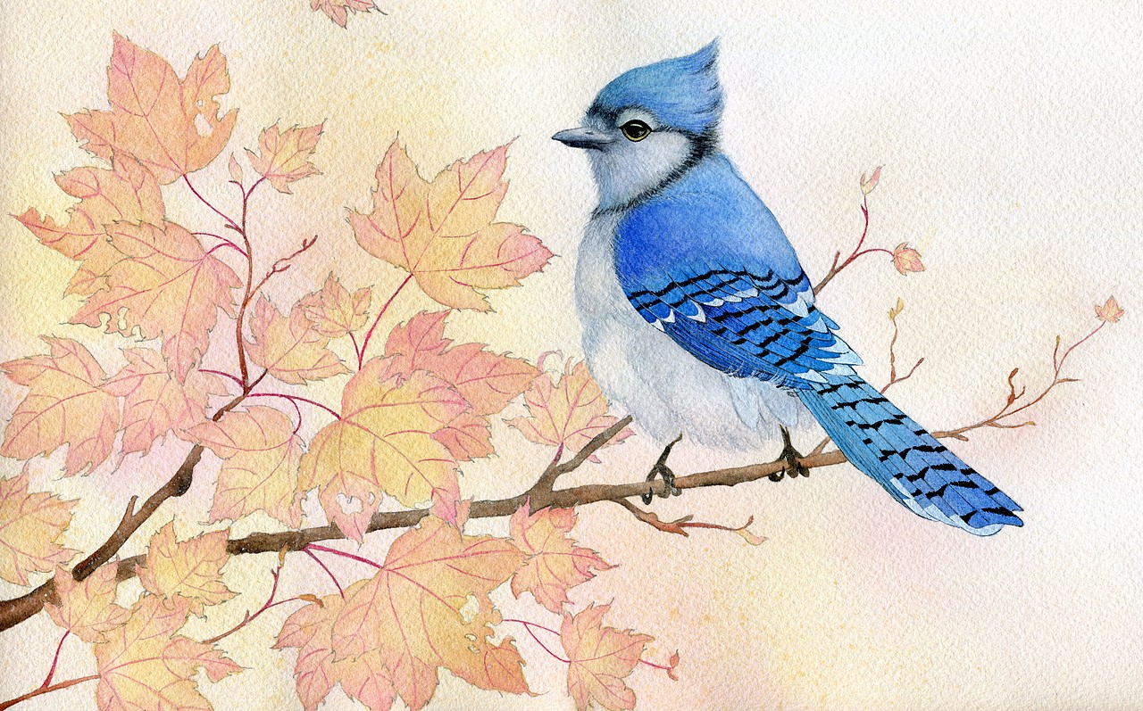 当你看向小鸟的时候，小鸟也在看向你（图ZMjM0Nzk4Nzk2） - 艺术插画 - 站酷设计师辛未姎原创素材 - 站酷ZCOOL