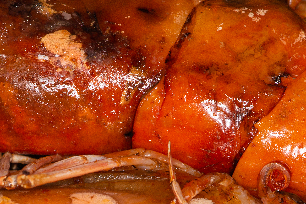 微观下的烧烤（图ZMjc1NTgwMjgw） - 美食摄影 - 站酷设计师喜马拉雅阿飞哥原创素材 - 站酷ZCOOL