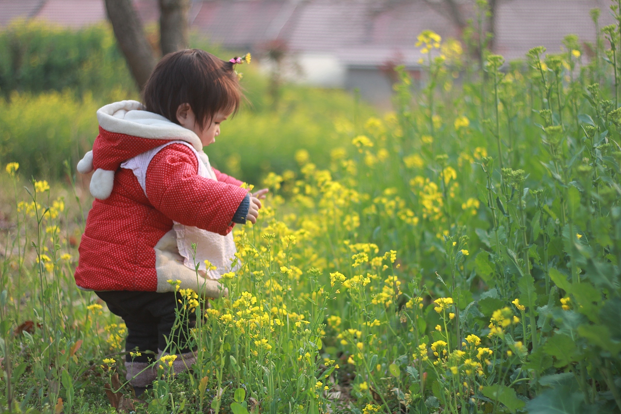 扑面而来的春天啊（图ZMjA0MzYzNjUy） - 风光摄影 - 站酷设计师万万大魔王原创素材 - 站酷ZCOOL