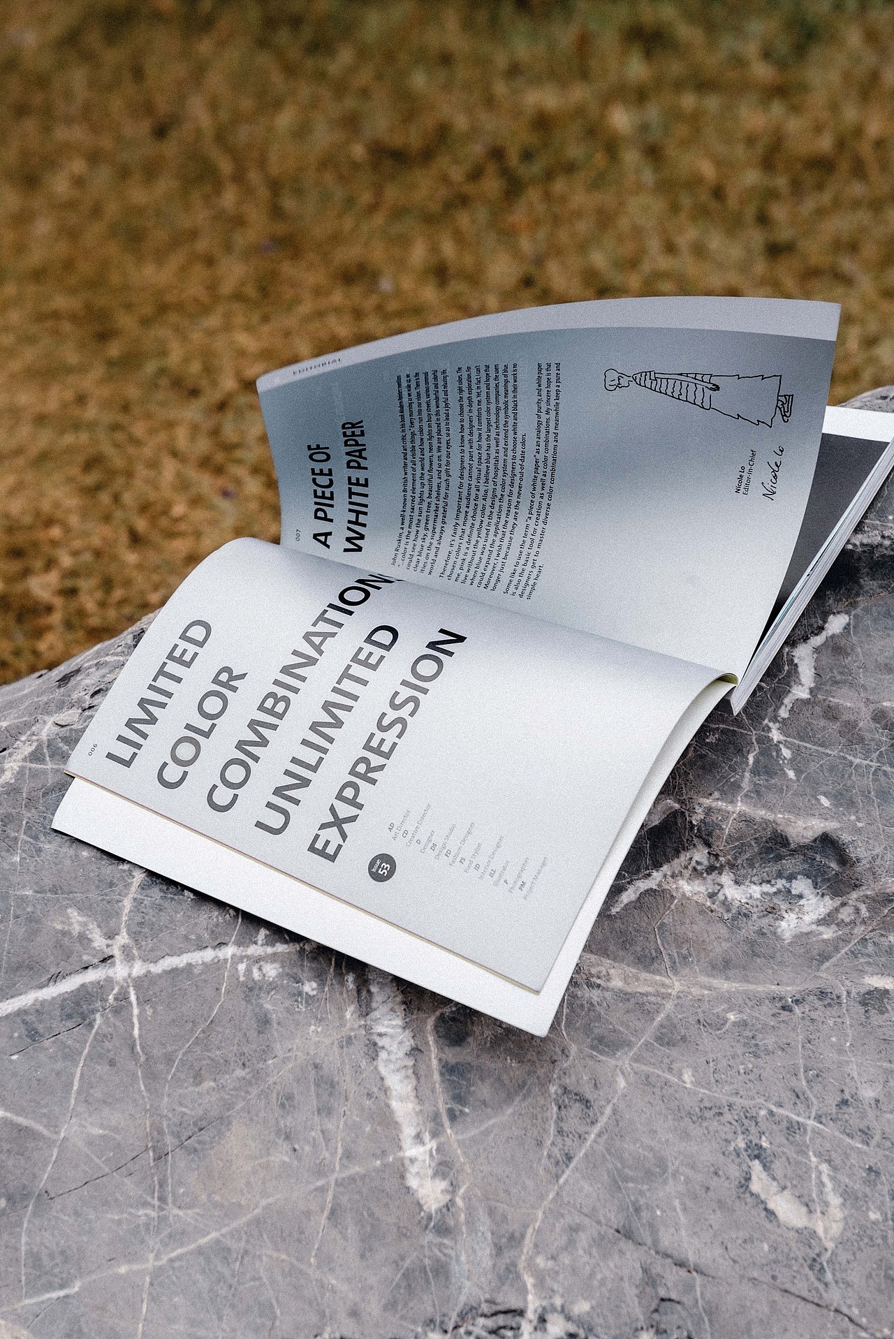 BranD ISSUE 53 限量配色,无限发挥