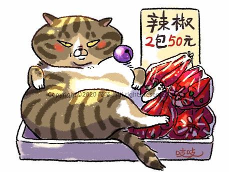 小猫咪摆摊大赏