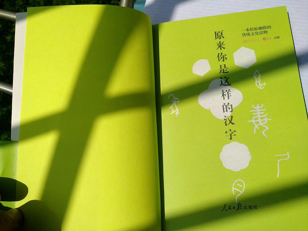 原来你是这样的汉字（图ZMjEzMzQ4NzQw） - 书籍/画册 - 站酷设计师志_超原创素材 - 站酷ZCOOL