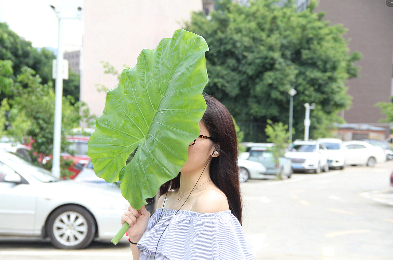 荷叶（图ZMzI0Mjk5ODQ=） - 人像摄影 - 站酷设计师谌一一原创素材 - 站酷ZCOOL