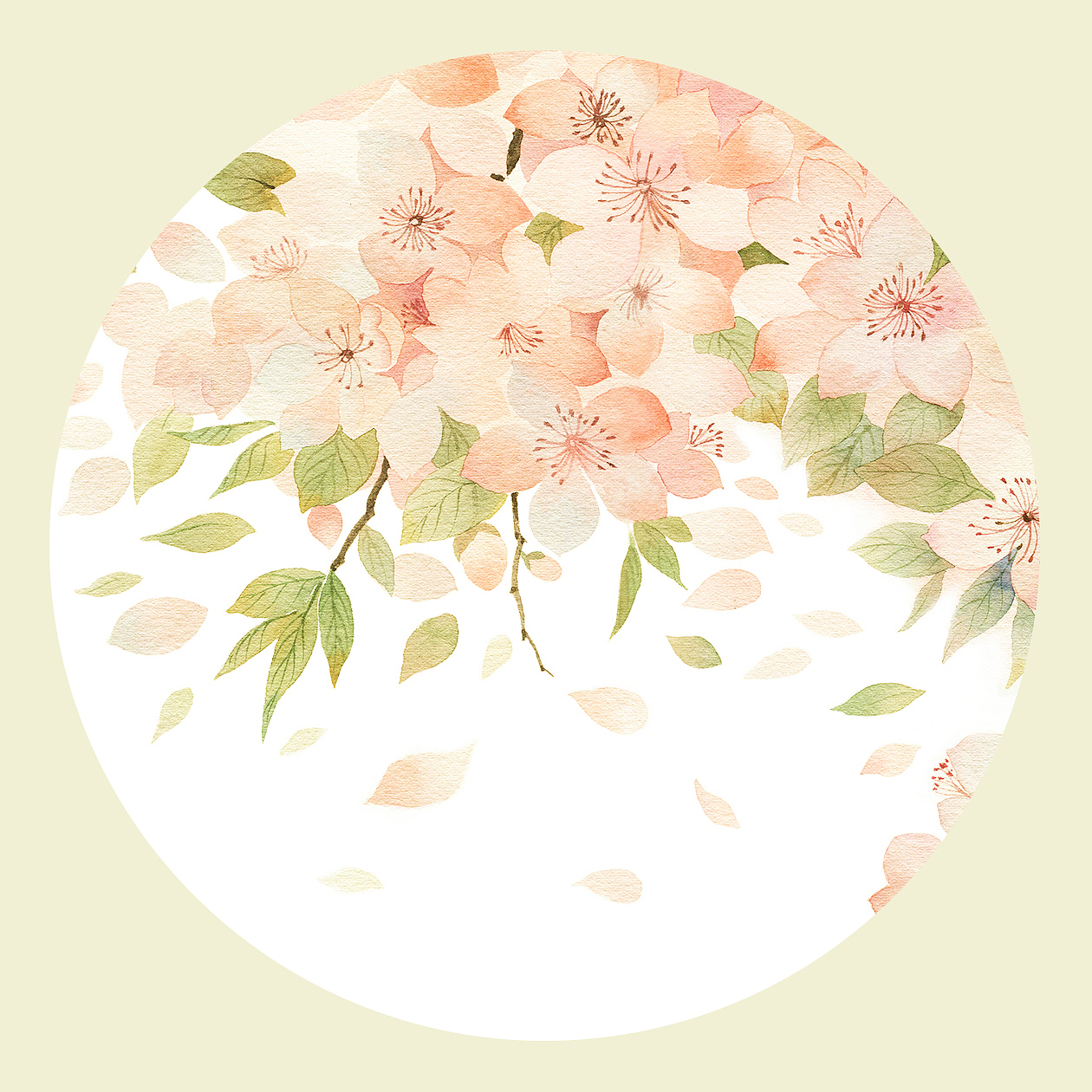 桃花（图ZODU0NTUwODg=） - 创作习作 - 站酷设计师潘璕原创素材 - 站酷ZCOOL