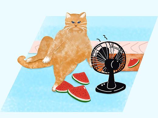 《橘里橘气之吹风扇》