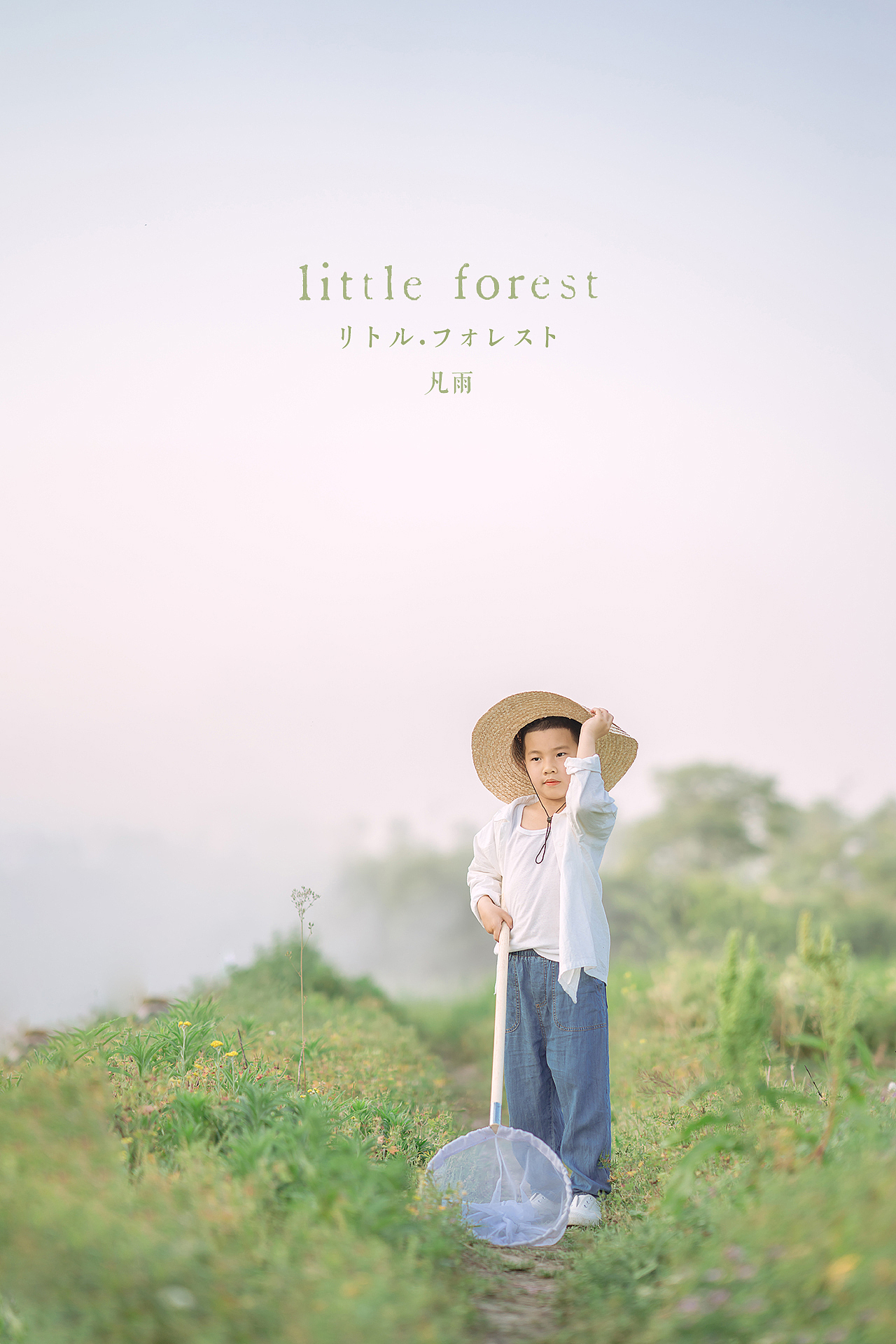 男孩纸的小森林