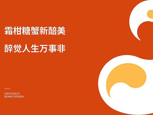 蟹多多VIS提案