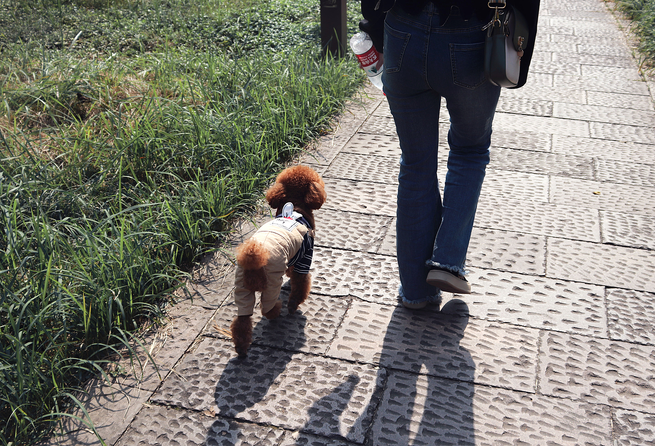 两个社恐的治愈瞬间