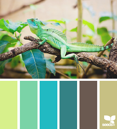 美丽的配色卡啊——04