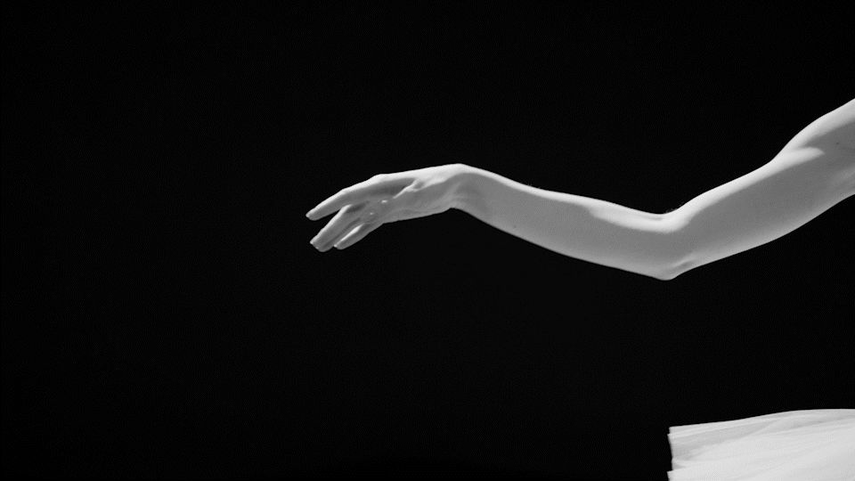 内衣摄影 服饰摄影 黑天鹅 tvc视频宣传片 乐趣文化（图ZMjkyNTgzODcy） - 产品摄影 - 站酷设计师乐趣视觉营销原创素材 - 站酷ZCOOL