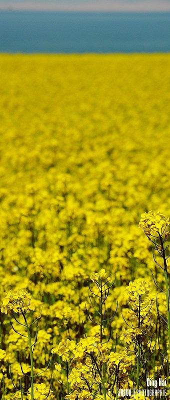 放下一切去旅行吧②