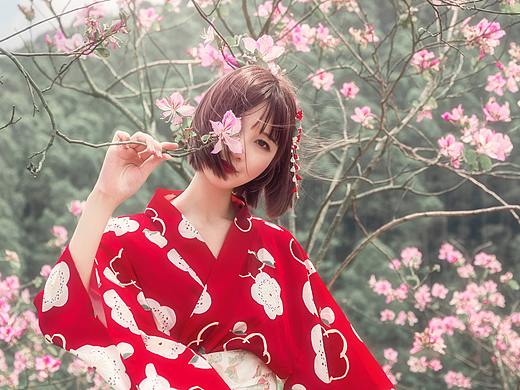 唯美柔和紫荆花人像
