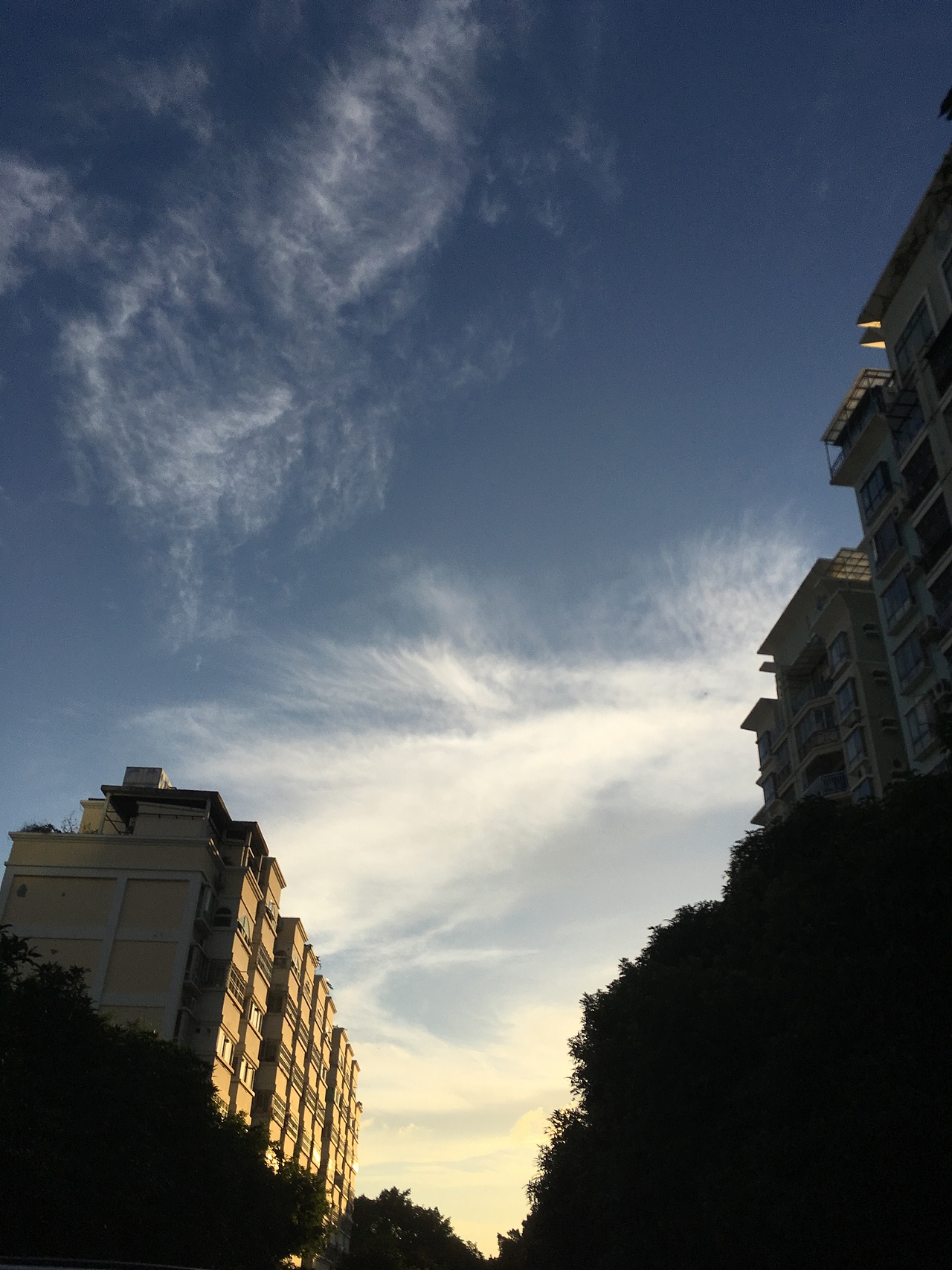 有趣的美好的一瞬间—手机摄影