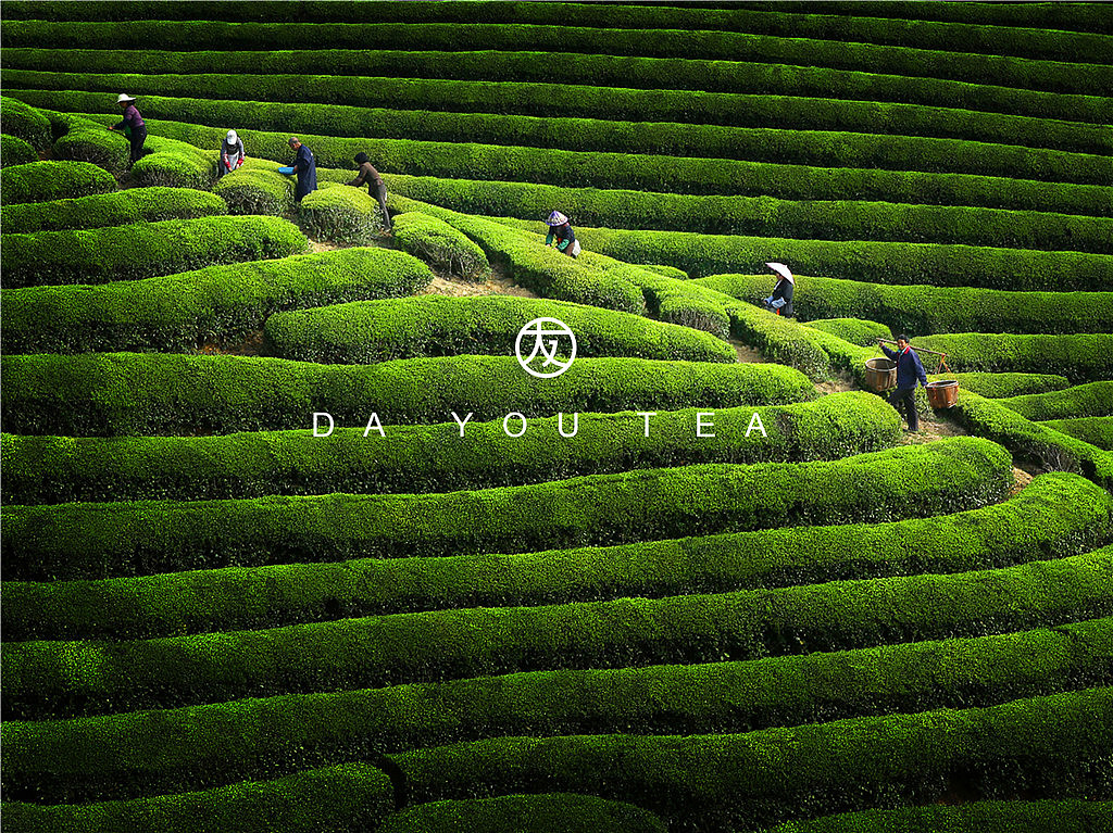 大友茗堂品牌设计-【IFPD潘艺夫设计】(图ZNzA3NTQ0MTI=) - 包装 - 站酷设计师潘艺夫设计原创素材 - 站酷ZCOOL