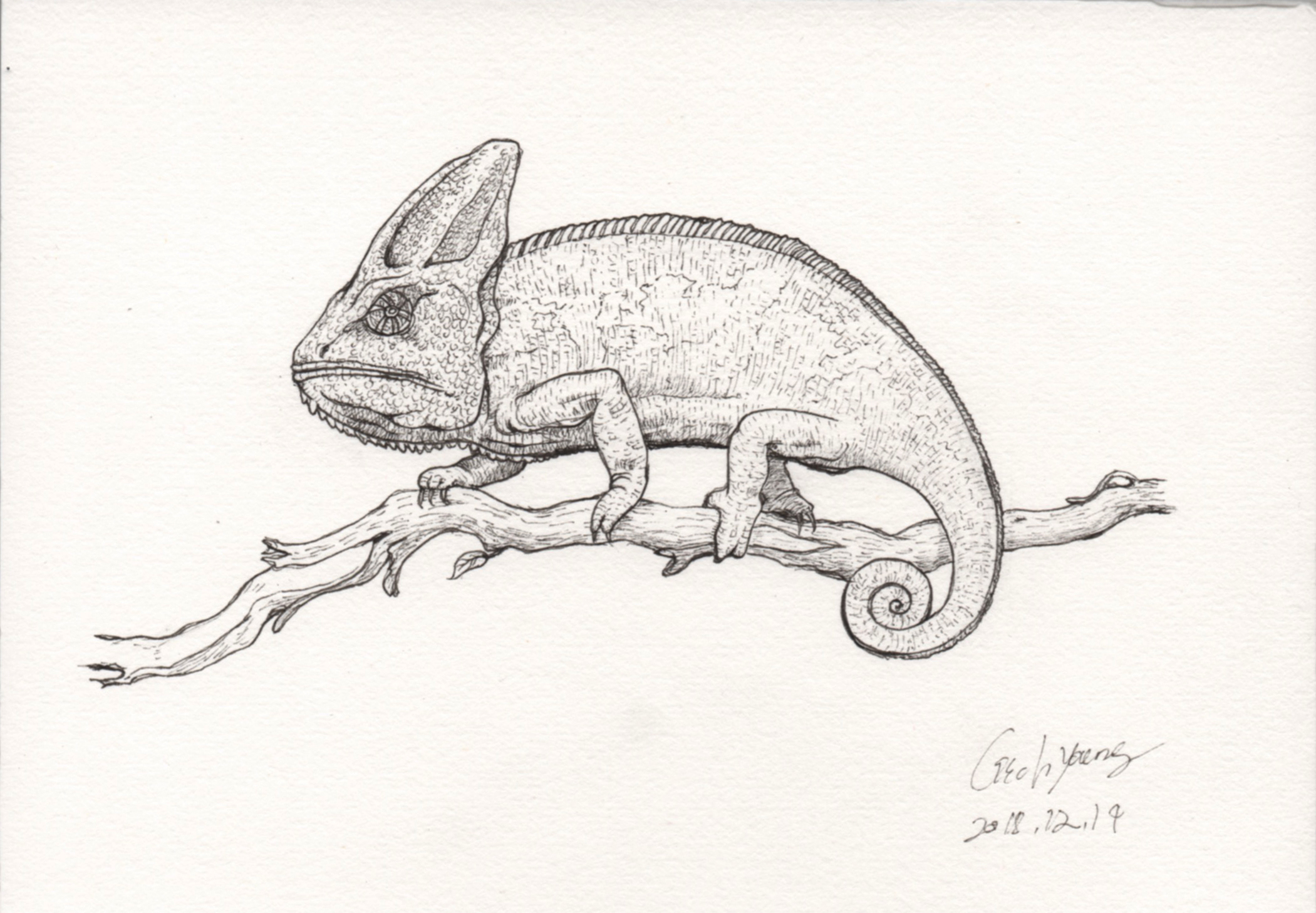 LichYoung的個(gè)人主頁（封面預(yù)覽） - 主頁封面設(shè)置 - 站酷設(shè)計(jì)師LichYoung原創(chuàng)素材 - 站酷ZCOOL