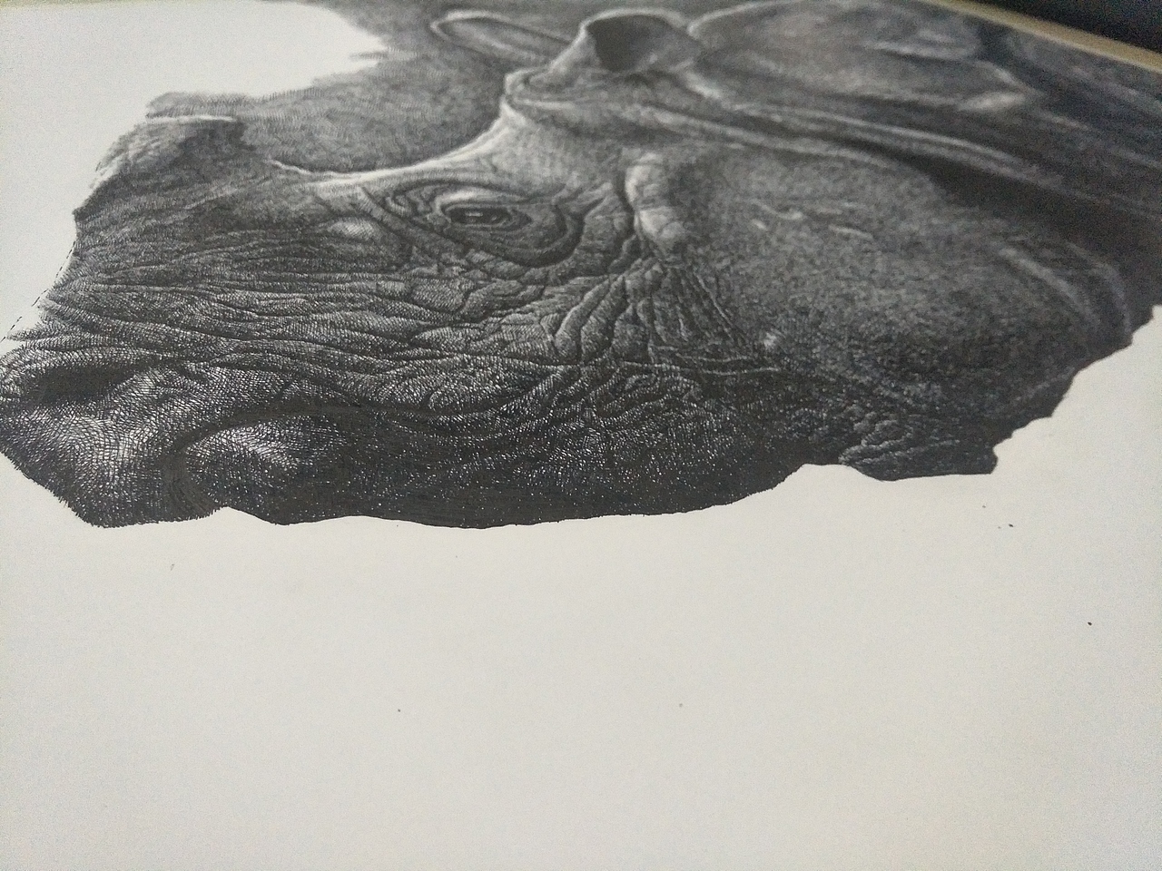 初夏~盛夏 重量级动物钢笔画（图ZODc5MTk0MDQ=） - 绘画 - 站酷设计师大KAI原创素材 - 站酷ZCOOL