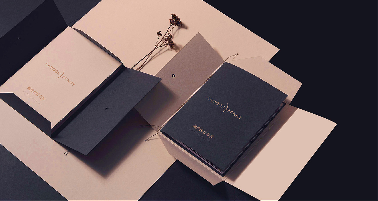 佩妮penny医疗美容VI设计