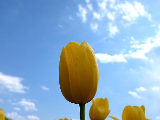 攝影作品（個人主頁-ZNDQ0NTE4NzY=） - 品牌 - 站酷設(shè)計師高三六班原創(chuàng)素材 - 站酷ZCOOL