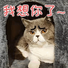 第二套微信表情包上架啦