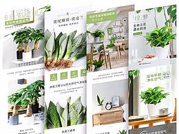 绿植详情页