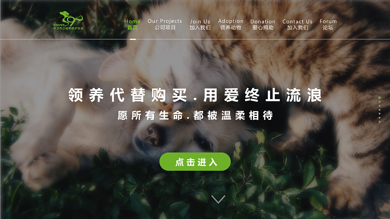 一屏式网页设计