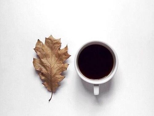 甜品官网首页 英文版